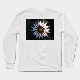 Gazania 7 Long Sleeve T-Shirt